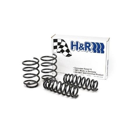 Muelles H&R Clio II